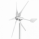 600W 24V high efficiency wind turbine with 5 blades